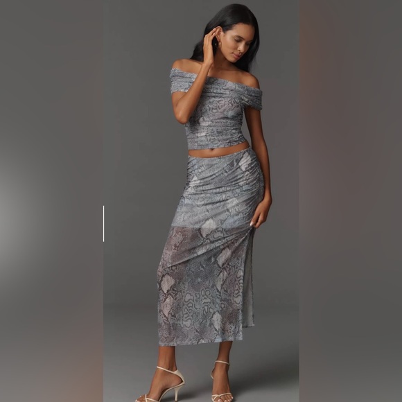 Maeve Dresses & Skirts - Anthropologie The Aleda Mesh Ruched Maxi Skirt by Maeve Medium NWT